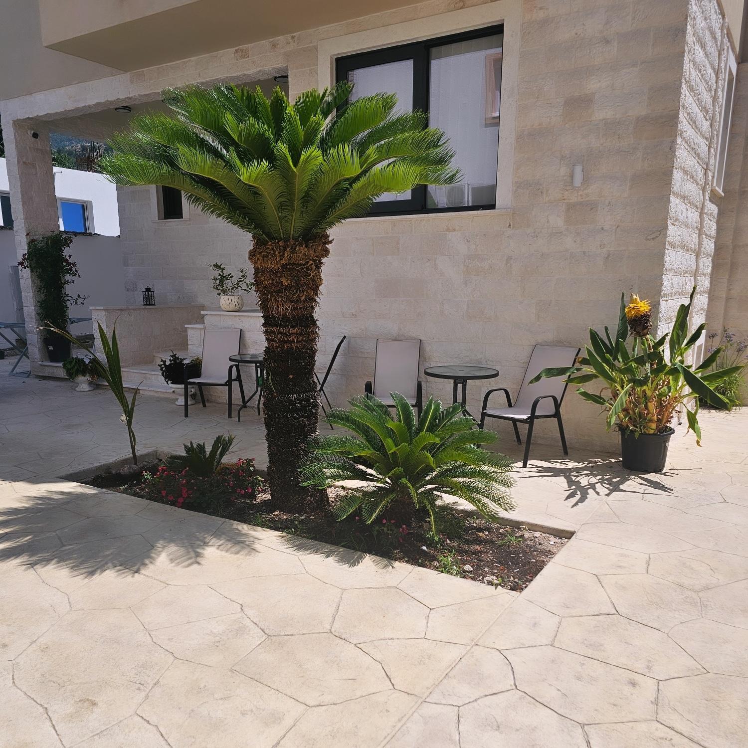 Guest house La Vida *